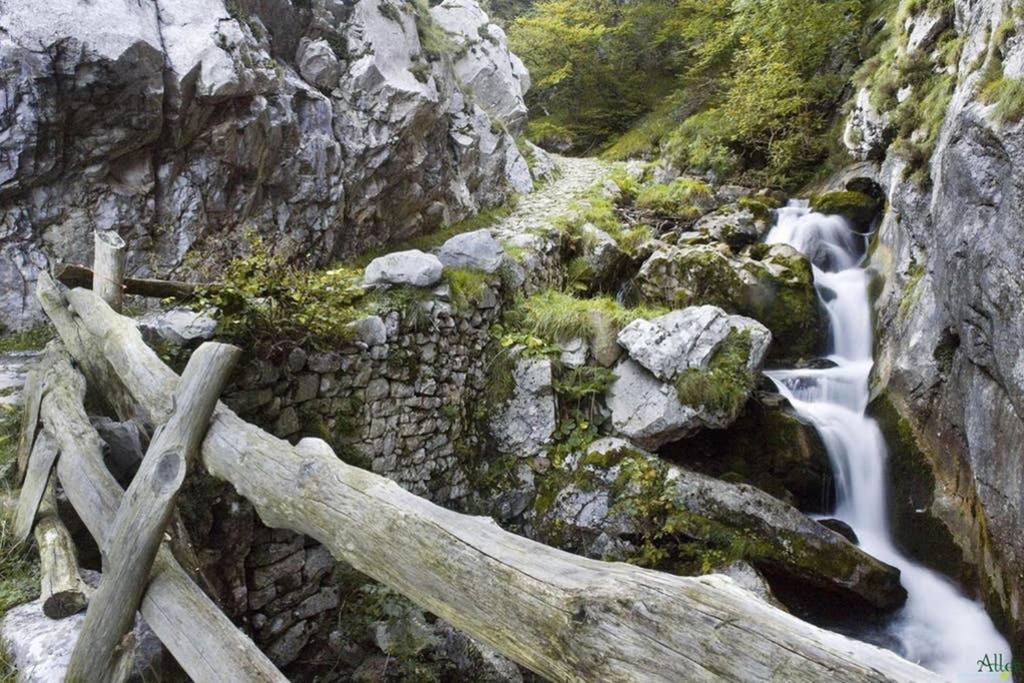 Los Molinos - Atico En Montana De Asturias Felechosa Exterior foto