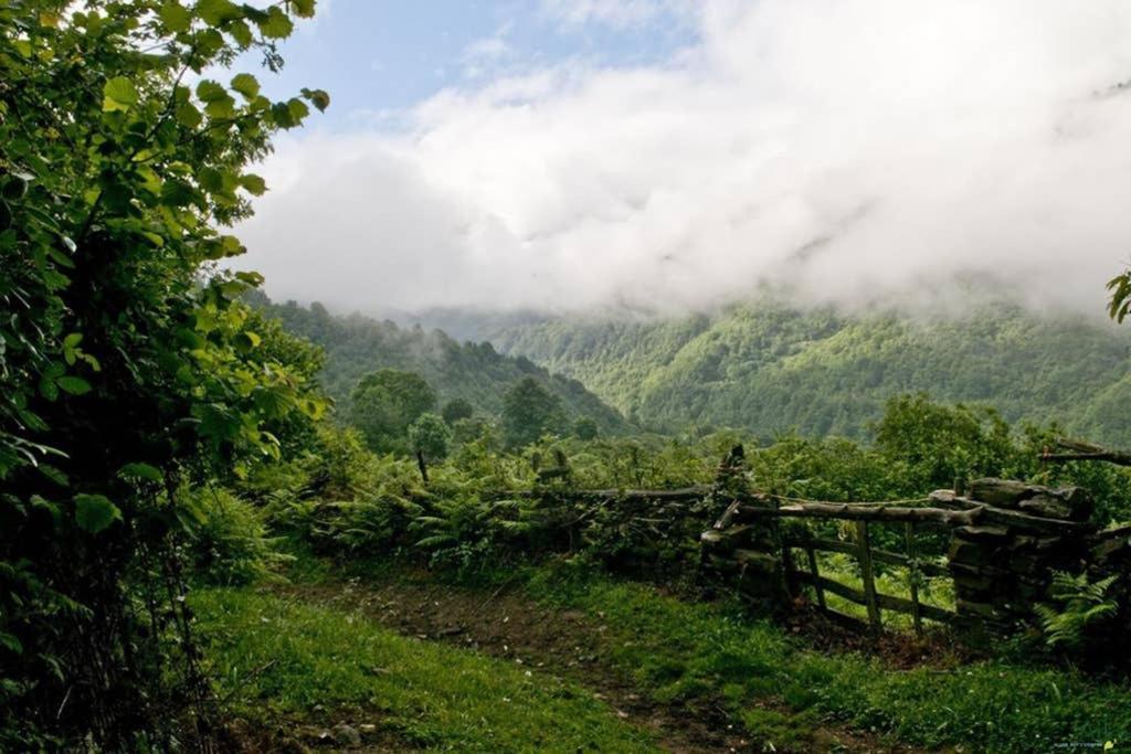Los Molinos - Atico En Montana De Asturias Felechosa Exterior foto