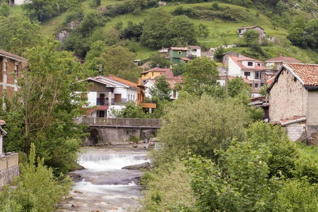 Los Molinos - Atico En Montana De Asturias Felechosa Exterior foto