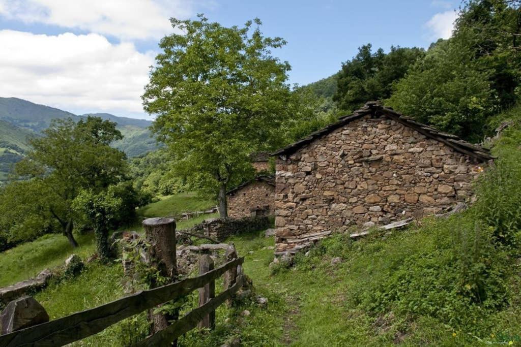 Los Molinos - Atico En Montana De Asturias Felechosa Exterior foto