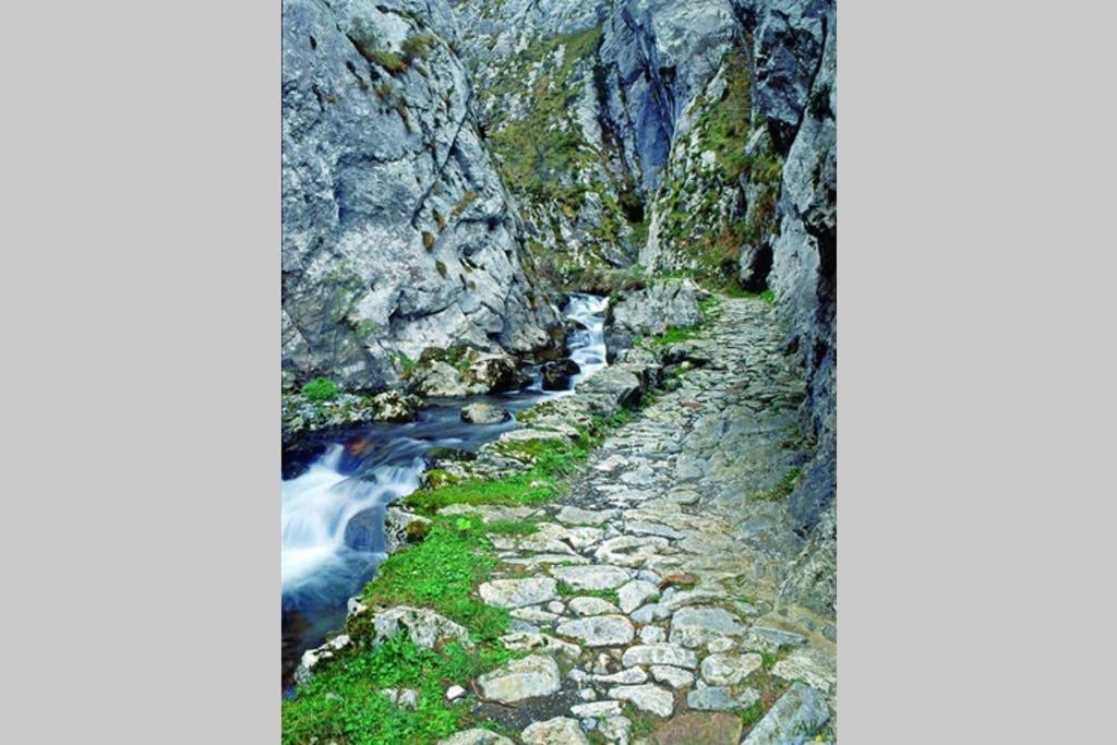Los Molinos - Atico En Montana De Asturias Felechosa Exterior foto